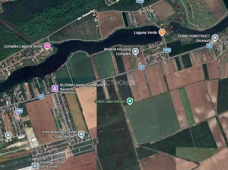 Teren de Vanzare  Caciulati Ilfov - 5