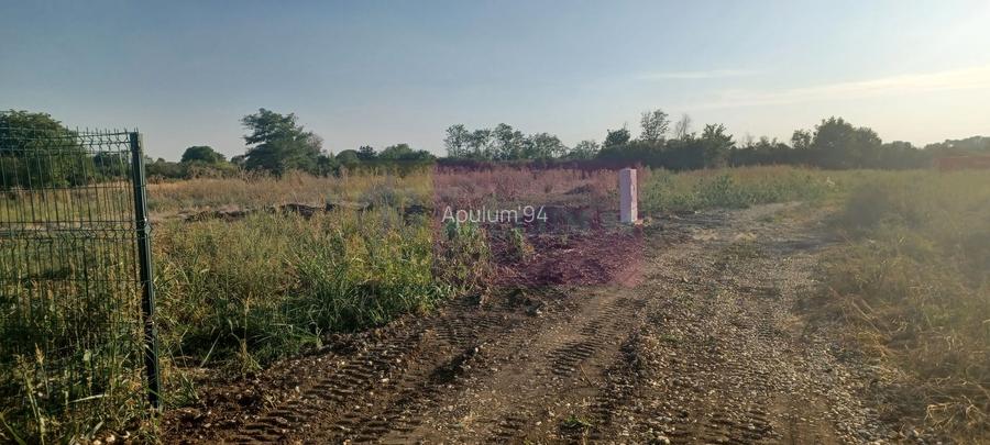 Săbăreni, lot de casă 500 mp, curent lângă teren - 2