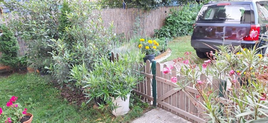 Casa ce se poate imparti in 3 ap, zona Petrom Baciu, 250 mp utili - 10