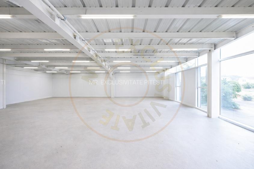 Hală industrială / spațiu comercial – VÂNZARE – DN 65B – Bradu, zonă comercială - 6