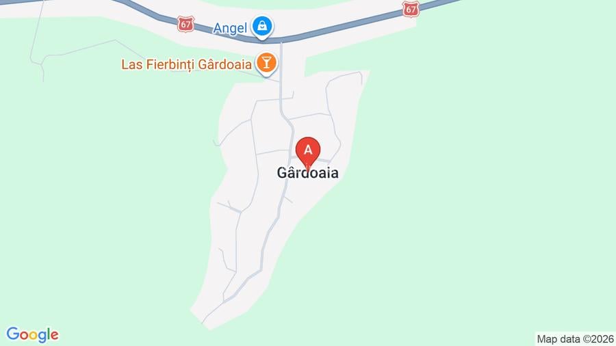 Se vinde casa + anexe+ teren - 2