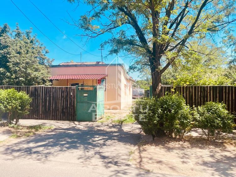 Casa de vanzare- zona Alfa, Penny - 23