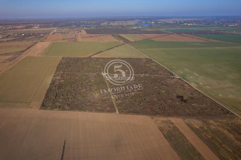 Ocazie- Teren Intravilan de Vanzare- Peris Snagov- Doar 10 euro/mp - 12