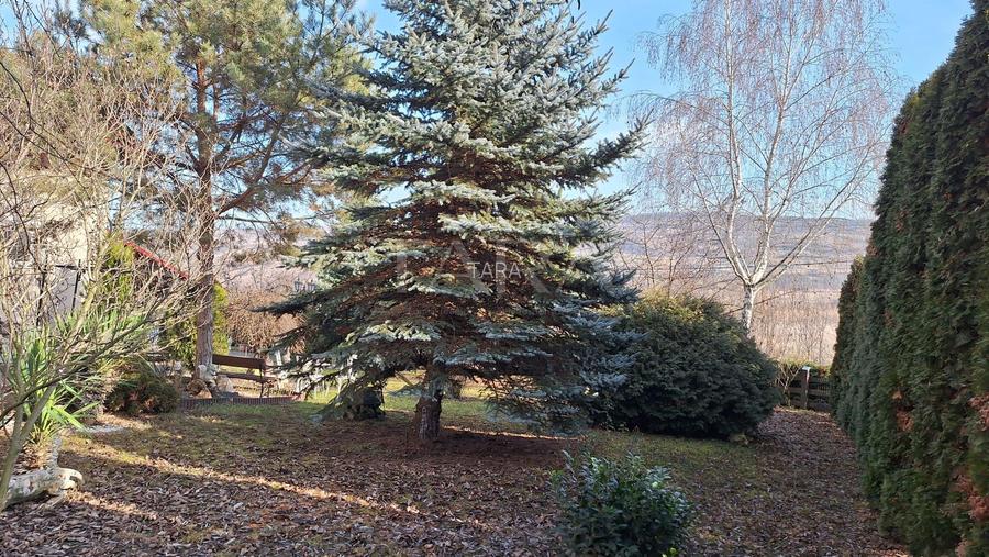 Casa Elegantă în Borhanci - 17