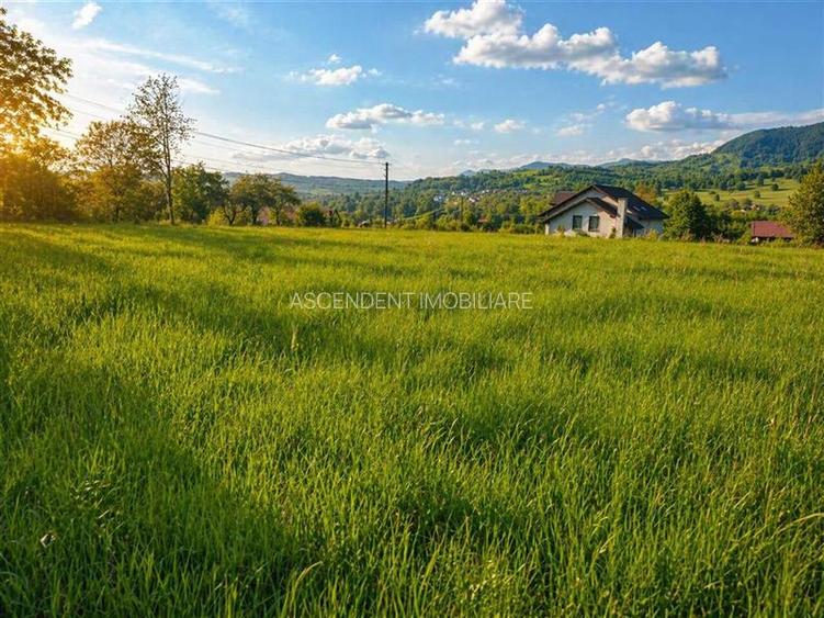 Teren intravilan panoramic, 5.750 mp, view munte, deschidere apreciabila, Ibanes - 3