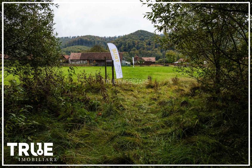 Teren intravilan C&acirc;mpul Cetății 2600m? - zonă de vacanță - 17