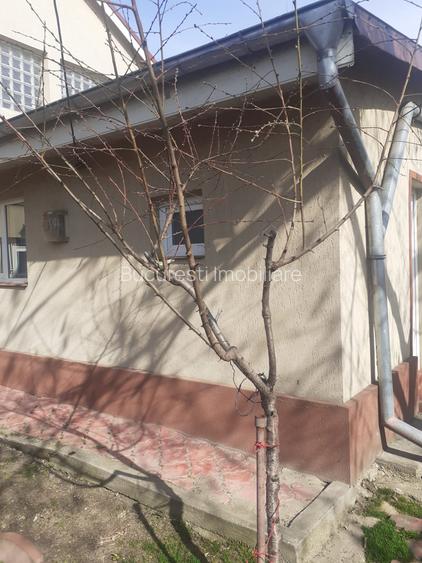 Casa pe pământ, Industriilor,o camera, baie, bucatarie, curte, mobilata, utilata - 13