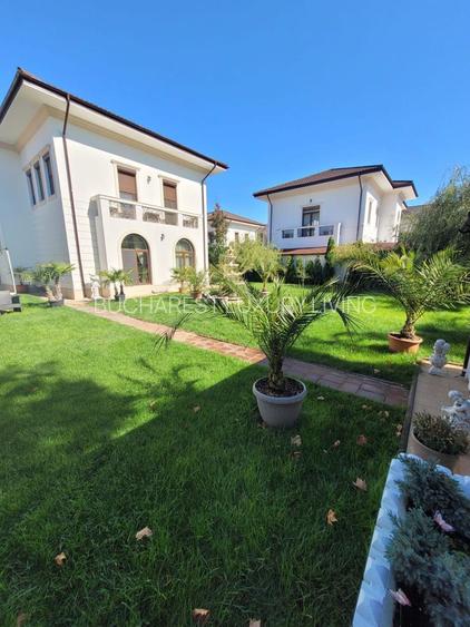 VILA DEOSEBITA EROU IANCU NICOLAE/TEREN 1000 MP(CAMBRIDGE SCHOOL) - 3