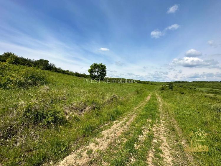 Teren intravilan in zona Hanul Pescarilor, str. Dealul lui Dumnezeu - 4