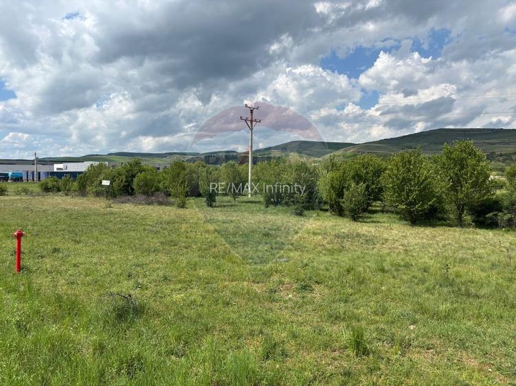 Teren de vanzare 13783mp, front la DN, parcela unica zona de vest - 7