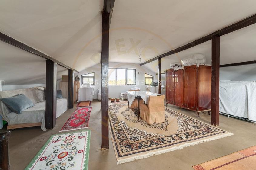 0% COMISION!! CASA PARTER + MANSARDA+ 2788 mp teren -RACHITELE DE JOS - 20