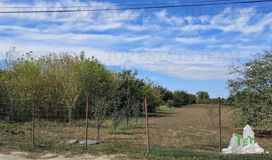 Teren stradal si intravilan 2431mp, P+1E+Pod,Magurele, Ilfov - 3