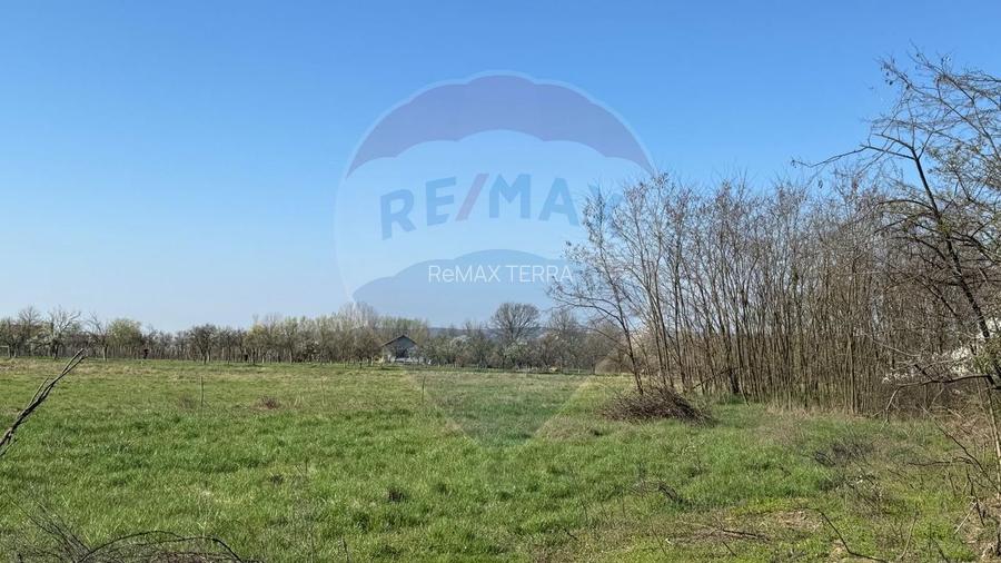 TEREN DE VÂNZARE ÎN MERISOR - 4