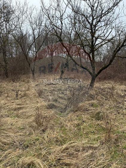 DE VANZARE Teren Strada Victoriei Baia Mare - 13