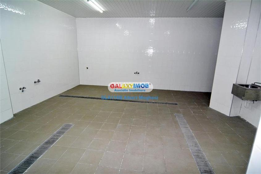 Vanzare spatiu productie alimentara P-ta Delfinului - 2