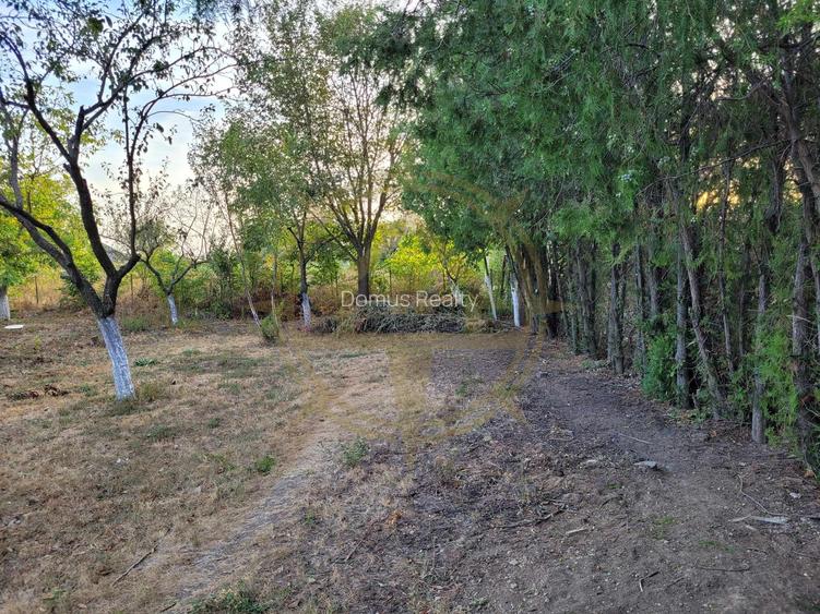 DOM00438 - De vanzare teren intravilan 1000 mp. Corbeanca - 9