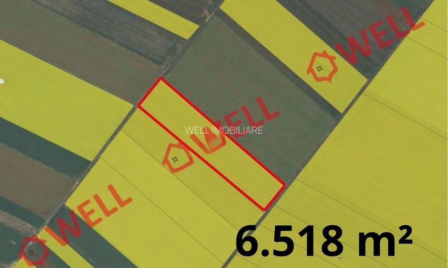 9 terenuri agricole de vânzare pe teritoriul administrativ al comunei Chichiș! - 9