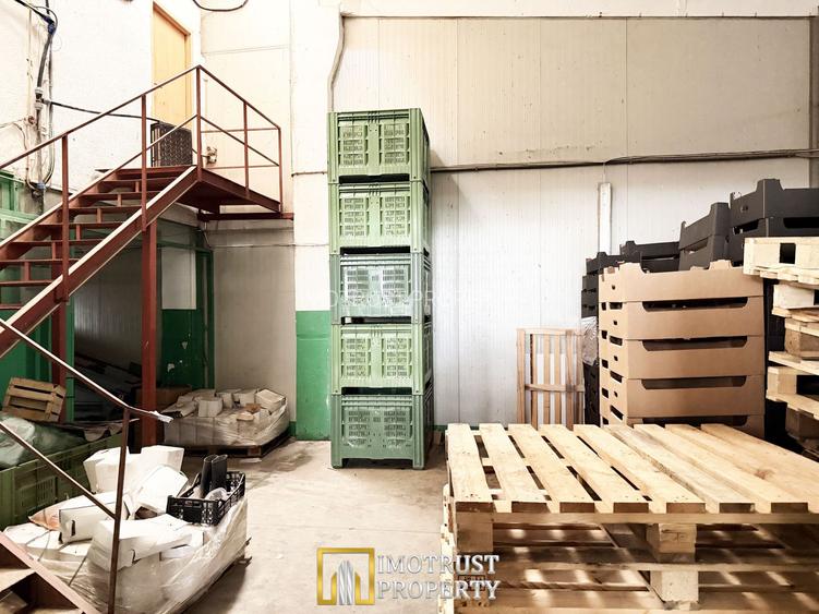 Hala industriala de vanzare Arad – 589 mp - 3