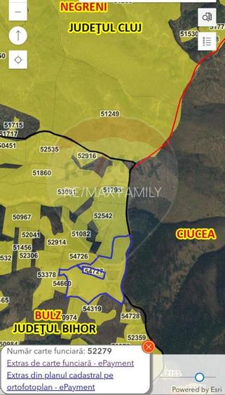 Teren 130000 mp extravilan, faneata si padure, Munteni - Bulz, Negreni - 3