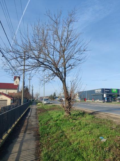 La 250 m de Kaufland Buftea si Crevedia Retail Park, la DN1A, 89 e/mp - 7