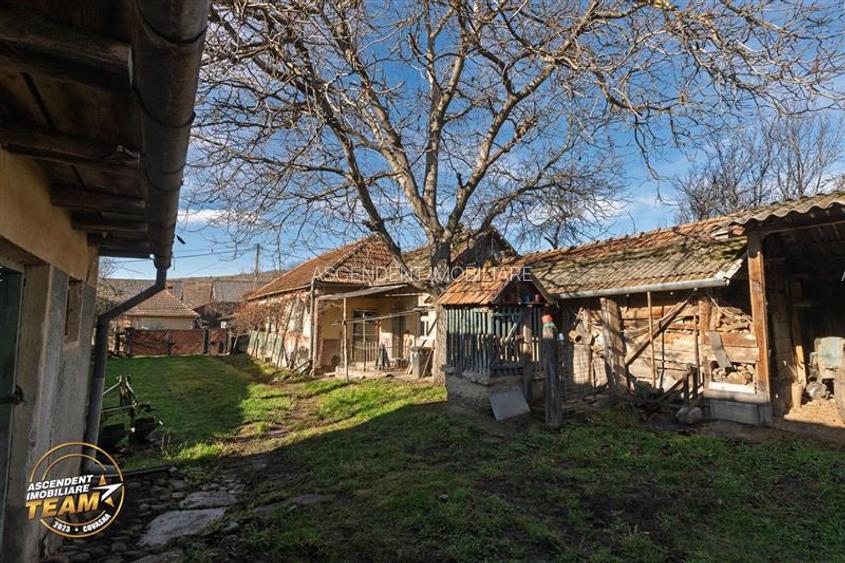 FILM! Casa si anexe, pe domeniu de 6.221mp,  livada pomi fructiferi, Lemnia, Cov - 20