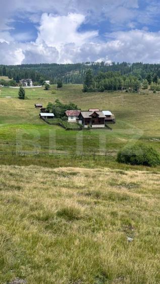 Teren INTRAVILAN, ideal pentru investiție, Șaru Dornei, 36.000 mp
