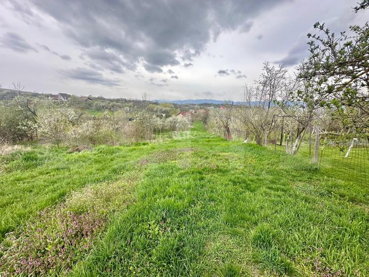 Teren intravilan de vânzare – 728 mp, Oarda de Sus, cu priveliște panoramică - 2