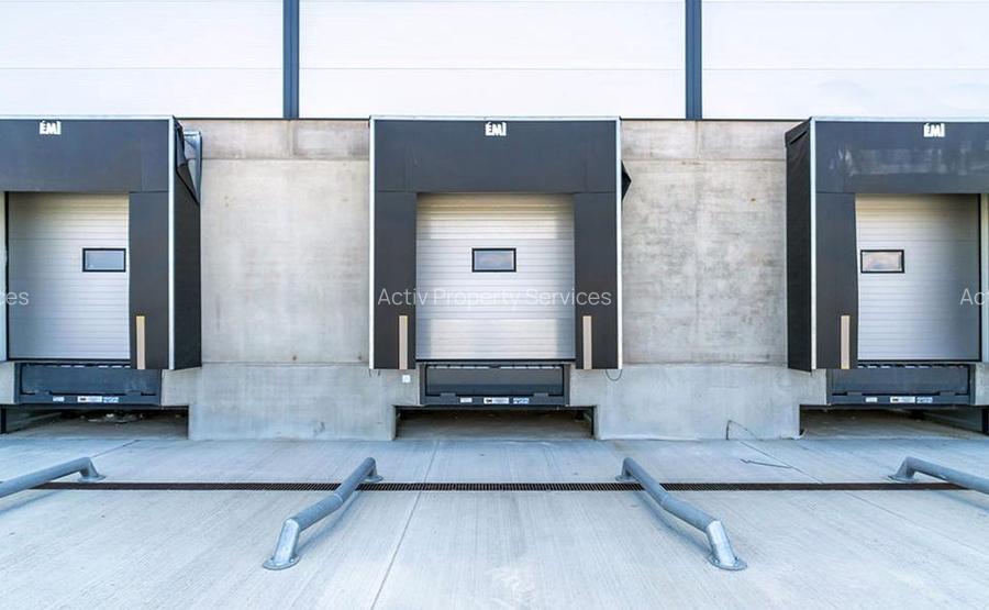 Hale industriale de închiriat în WDP Timișoara - 3