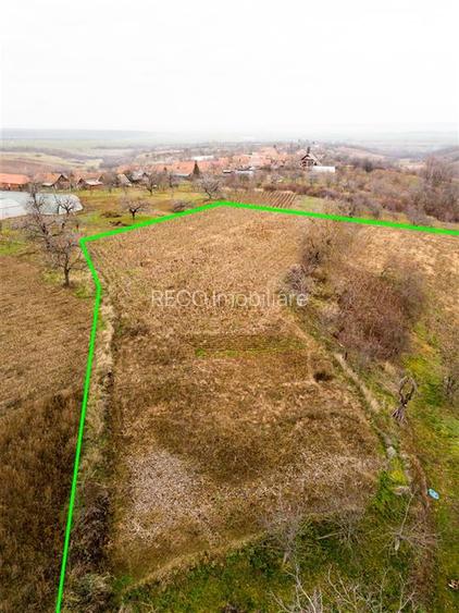 RECO, Casa cu 9168 mp teren intravilan, Sistera, Cetariu, Aproape de Oradea - 16