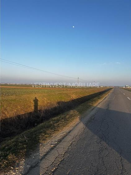 Teren Industrial Oradea spre Livada - 2