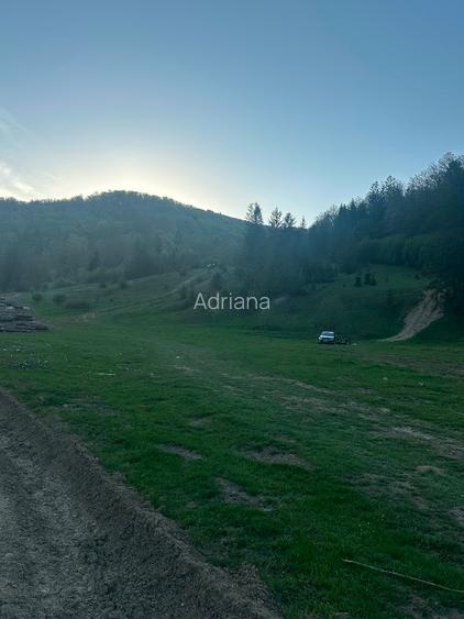 Teren intravilan în Marginea  - 4
