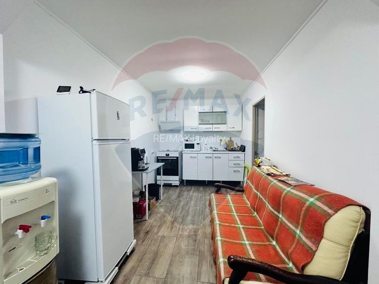 Casa Noua, Mobilata,Pod si Structura pentru Hala,Piscina-Sat Progresul - 12