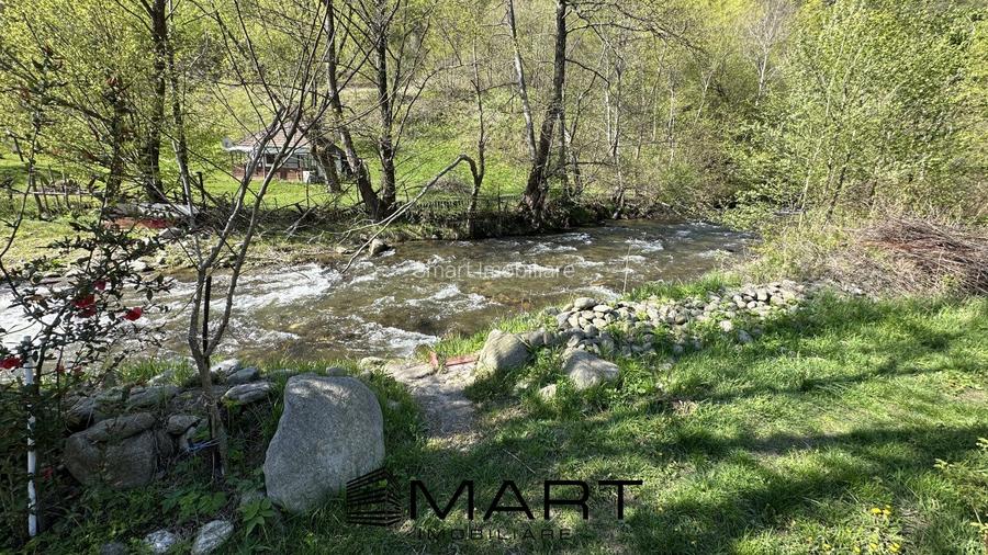 Casa cu teren langa rau Lotrioara - 9