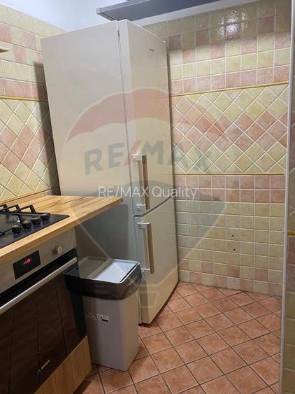 Vila de închiriat–Calea Moșilor /133 mp utili+60 Curte proprie - 17