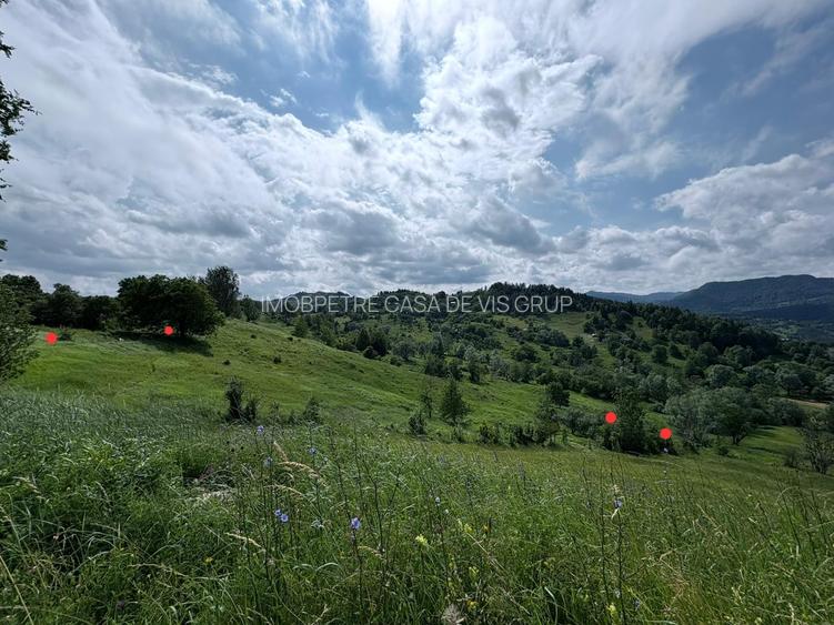 Buzau Teren de vanzare La Bisoca aproape de strada - 2