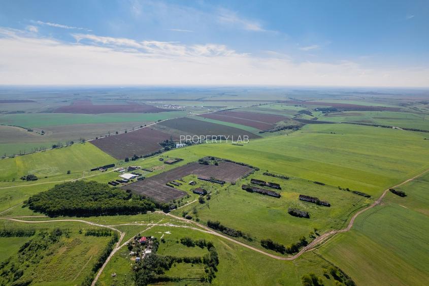 Teren de 69188 mp în Seceani - 5