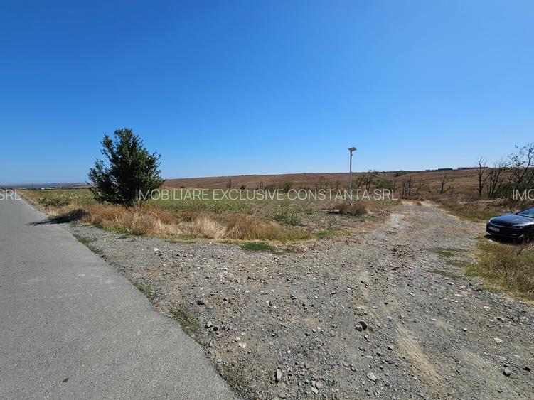 Teren Extravilan 10000 Mp Sibioara Constanta - 6