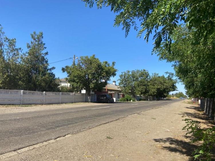 Vand ferma bovine situata in judetul Buzau - 4