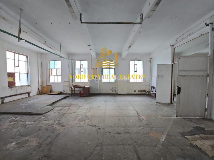 Platforma Industriala-8 ha -Fabrica-Hale Productie-21.500 mp - 17