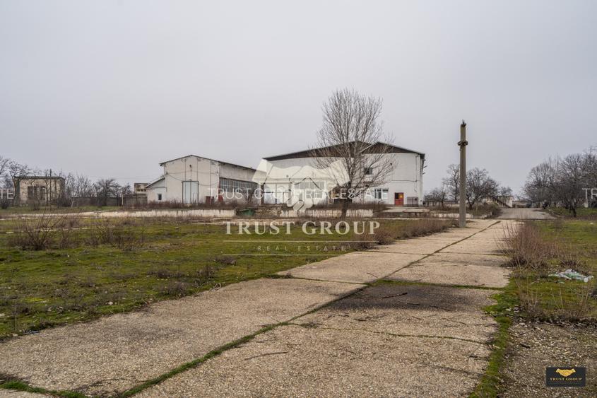 Teren 28.788m + Hale industriale + Sediu Firma  - 32