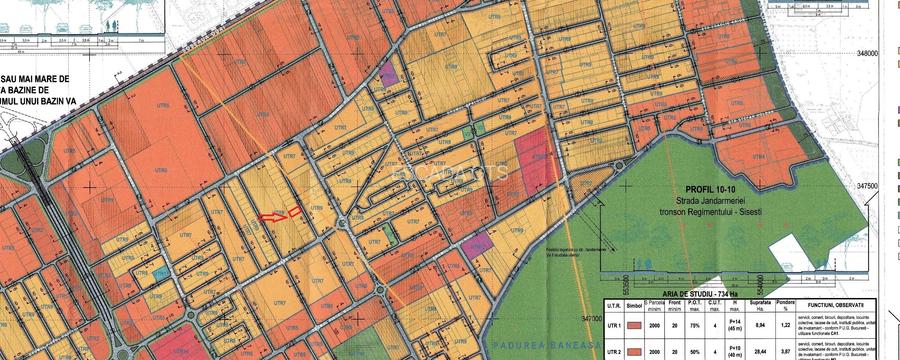 Pădurea Băneasa - 4