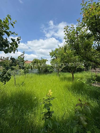 23 August - Pensiune 10 camere afacere la cheie - 2