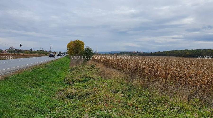 Teren arabil 11,791 mp Simeria - 3