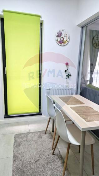 Apartament cu 1 camere de închiriat în zona Politehnica - 8