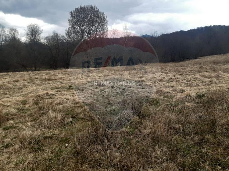 Teren 7,153mp Rasnov / Drumul DN 73A - 3