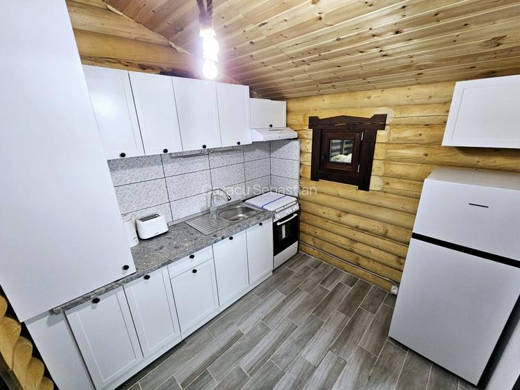 1140mp si cabana Obarsia Lotrului Transalplina 3km partia ski, TOATE UTILITATILE - 14