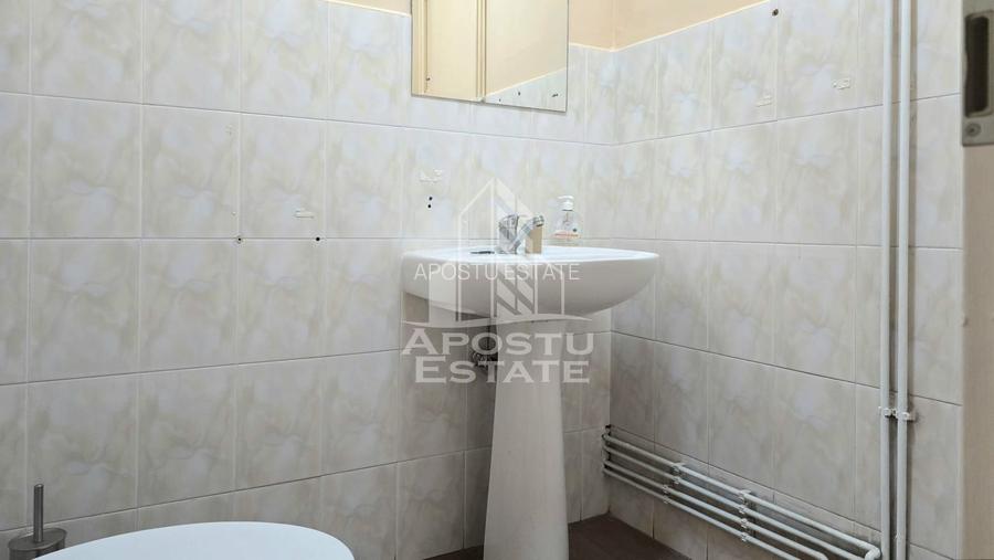 Spatiu comercial SAD, 250 mp, Iosefin - 12