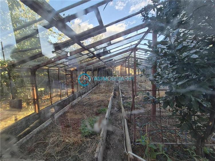 Royal Imobiliare - Vanzare Vila Zona Paulesti - Gageni - 43