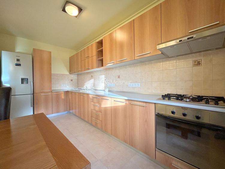 Apartament exclusivist, cu semineu, Dumbravita langa Padure - 10