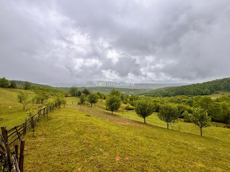 Teren extravilan cu potențial turistic – 5 ha în Josenii Bârgăului - 2